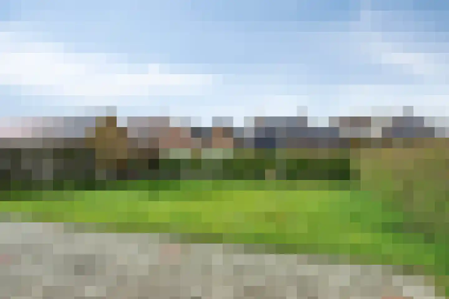 Besheerspolder 2 Grijpskerk thumbnail 51