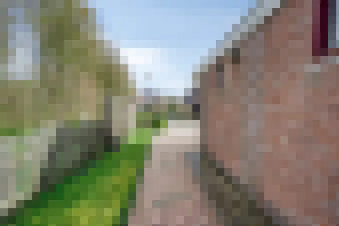 Besheerspolder 2 Grijpskerk thumbnail 56