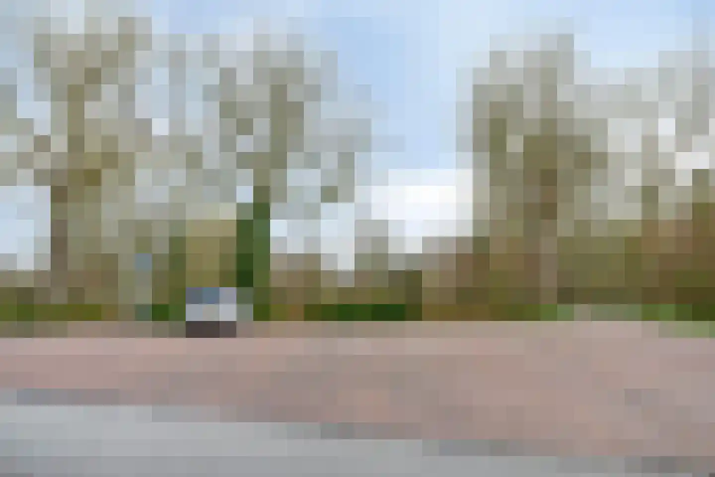 Besheerspolder 2 Grijpskerk thumbnail 60