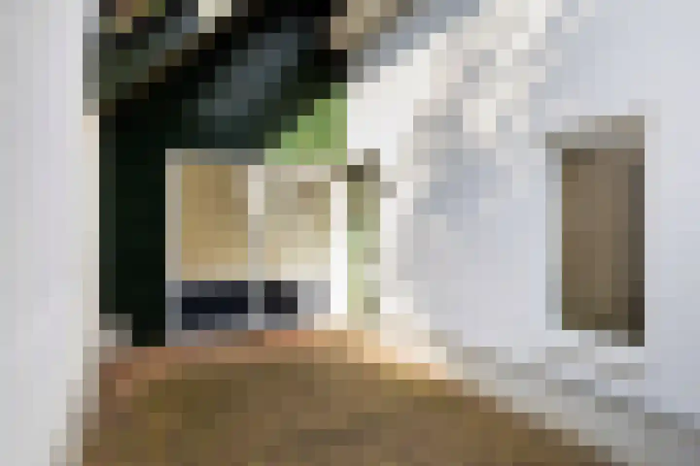 Beslingastate 7 Leeuwarden thumbnail 22