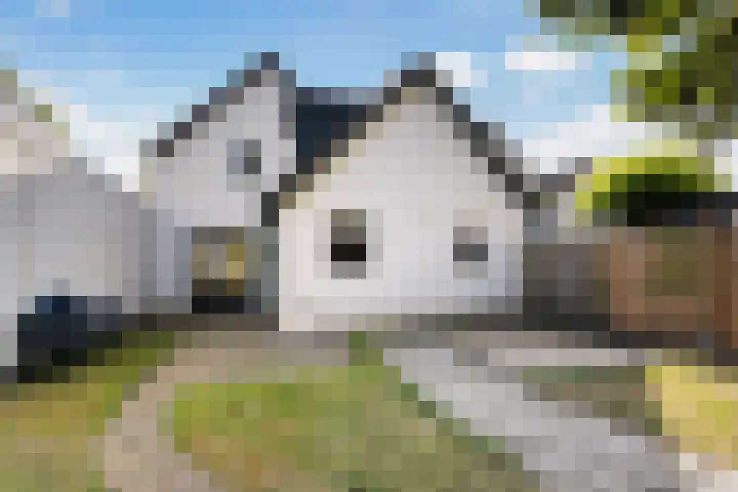 Beslingastate 7 Leeuwarden thumbnail 6