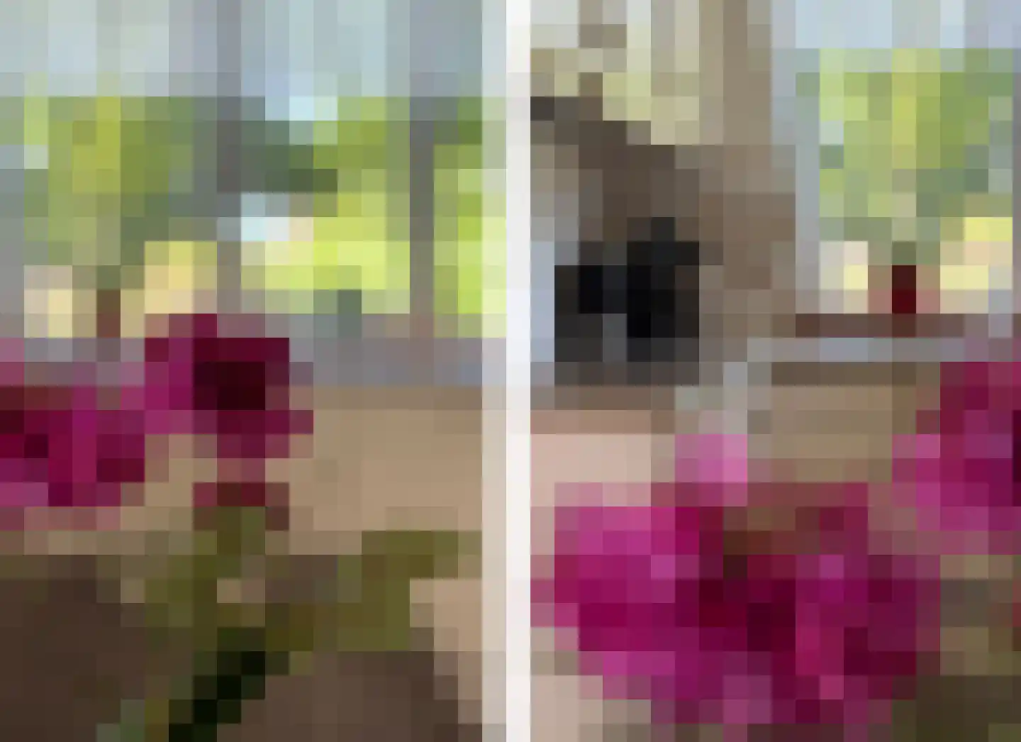 Beslooten acker 35 Heemskerk thumbnail 12