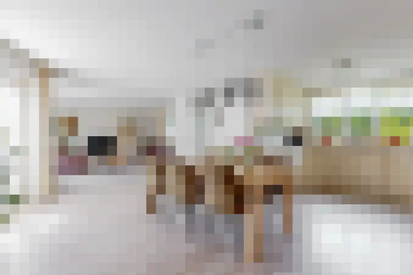 Beslooten acker 35 Heemskerk thumbnail 13