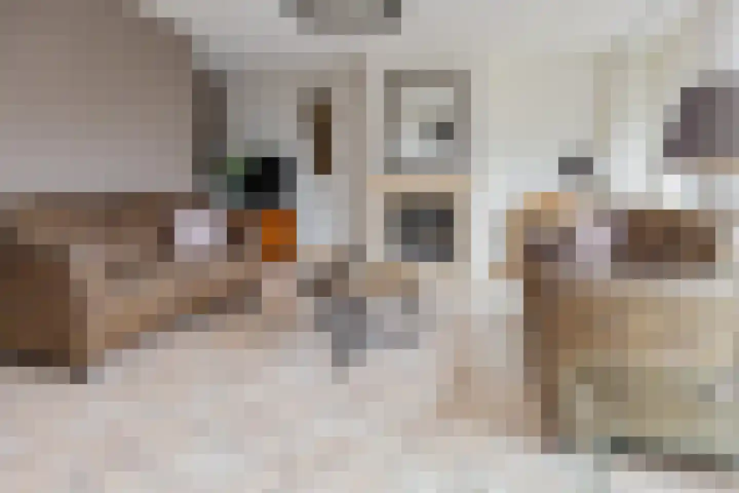 Beslooten acker 4 Heemskerk thumbnail 11