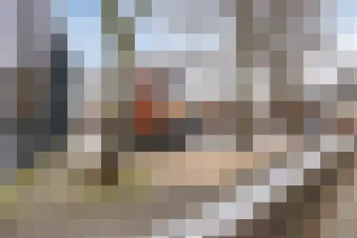 Besoekistraat 9 Haarlem thumbnail 26