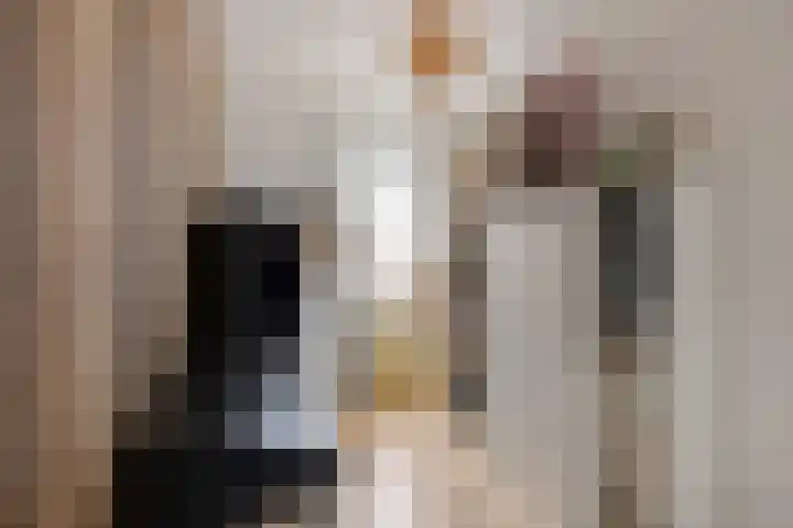 Besoekistraat 9 Haarlem thumbnail 5