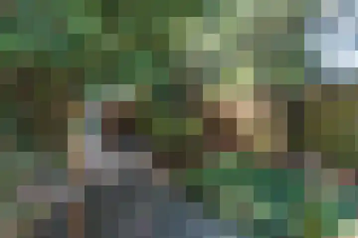 Besoijenstraat 24 Tilburg thumbnail 10