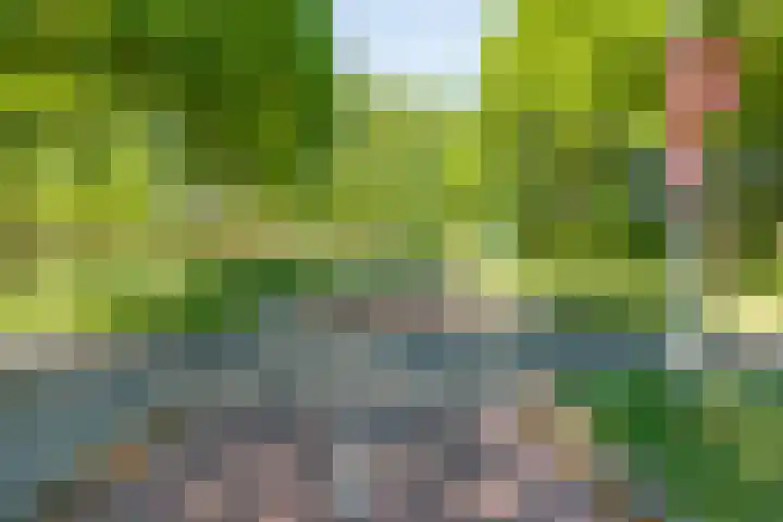 Besoijenstraat 24 Tilburg thumbnail 34