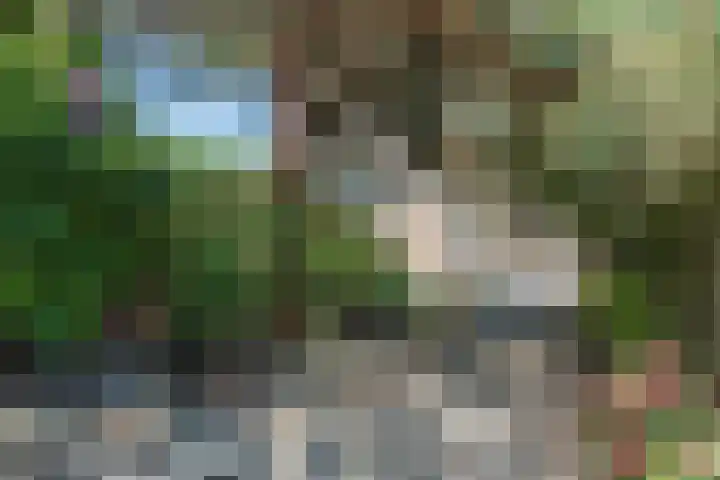 Besoijenstraat 24 Tilburg thumbnail 9
