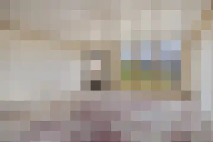Besoyensestraat 112 Waalwijk thumbnail 22