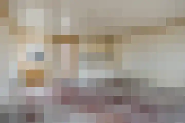 Besoyensestraat 112 Waalwijk thumbnail 23