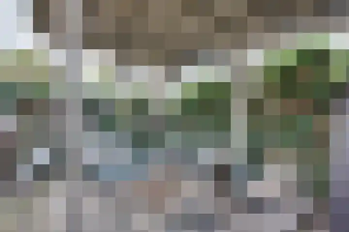 Besoyensestraat 138 Waalwijk thumbnail 32