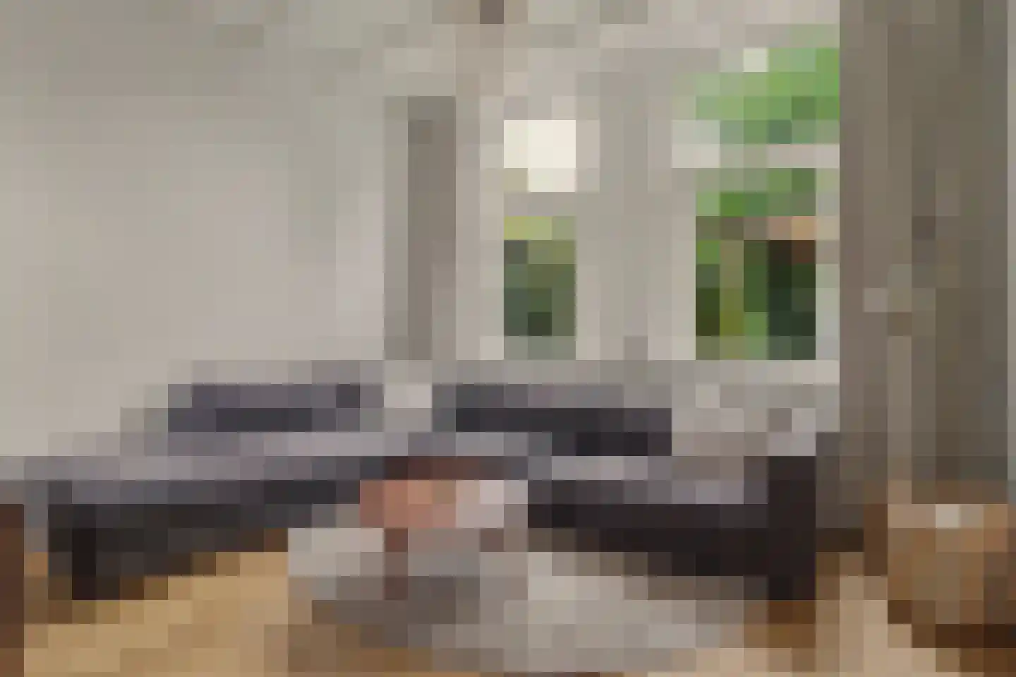 Besoyensestraat 15 Waalwijk thumbnail 11