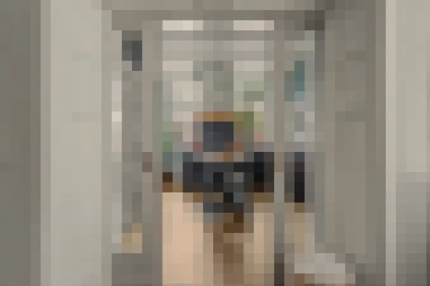 Besoyensestraat 15 Waalwijk thumbnail 13
