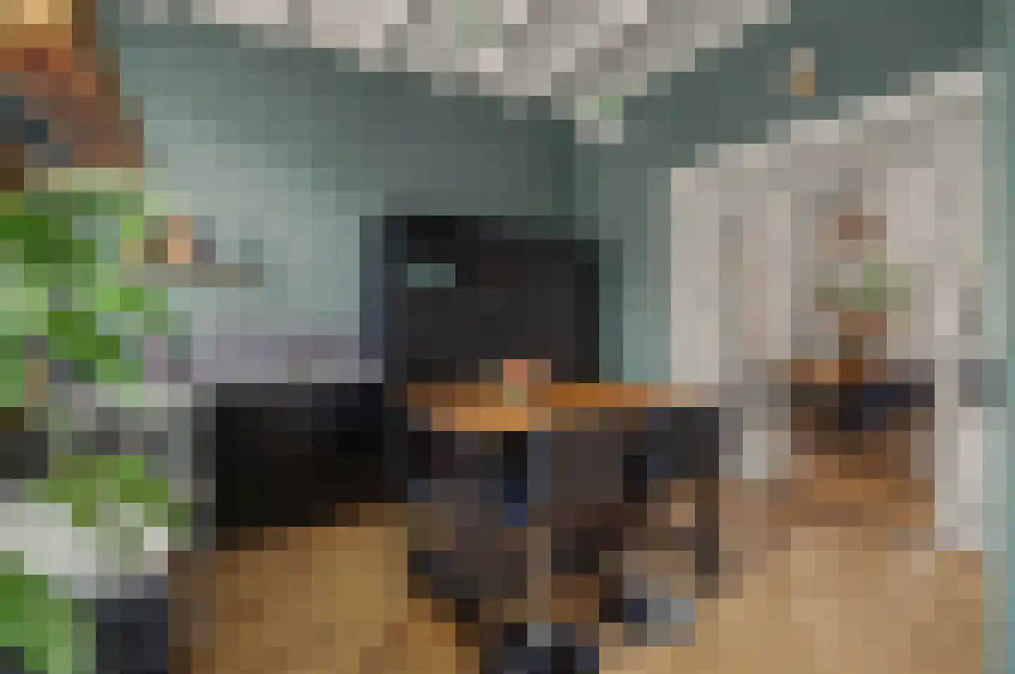 Besoyensestraat 15 Waalwijk thumbnail 15