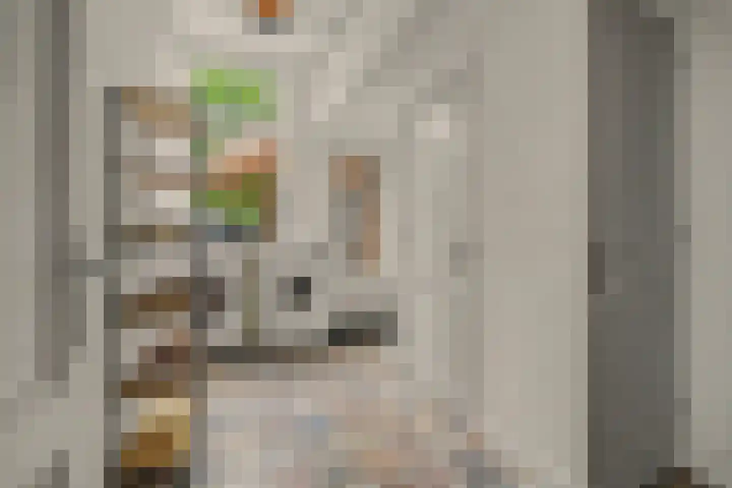Besoyensestraat 15 Waalwijk thumbnail 18