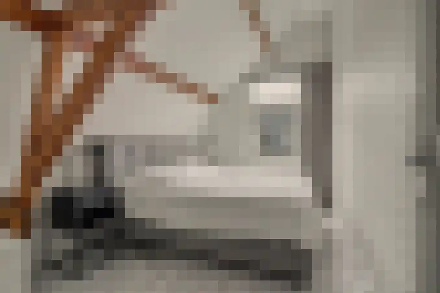 Besoyensestraat 15 Waalwijk thumbnail 20