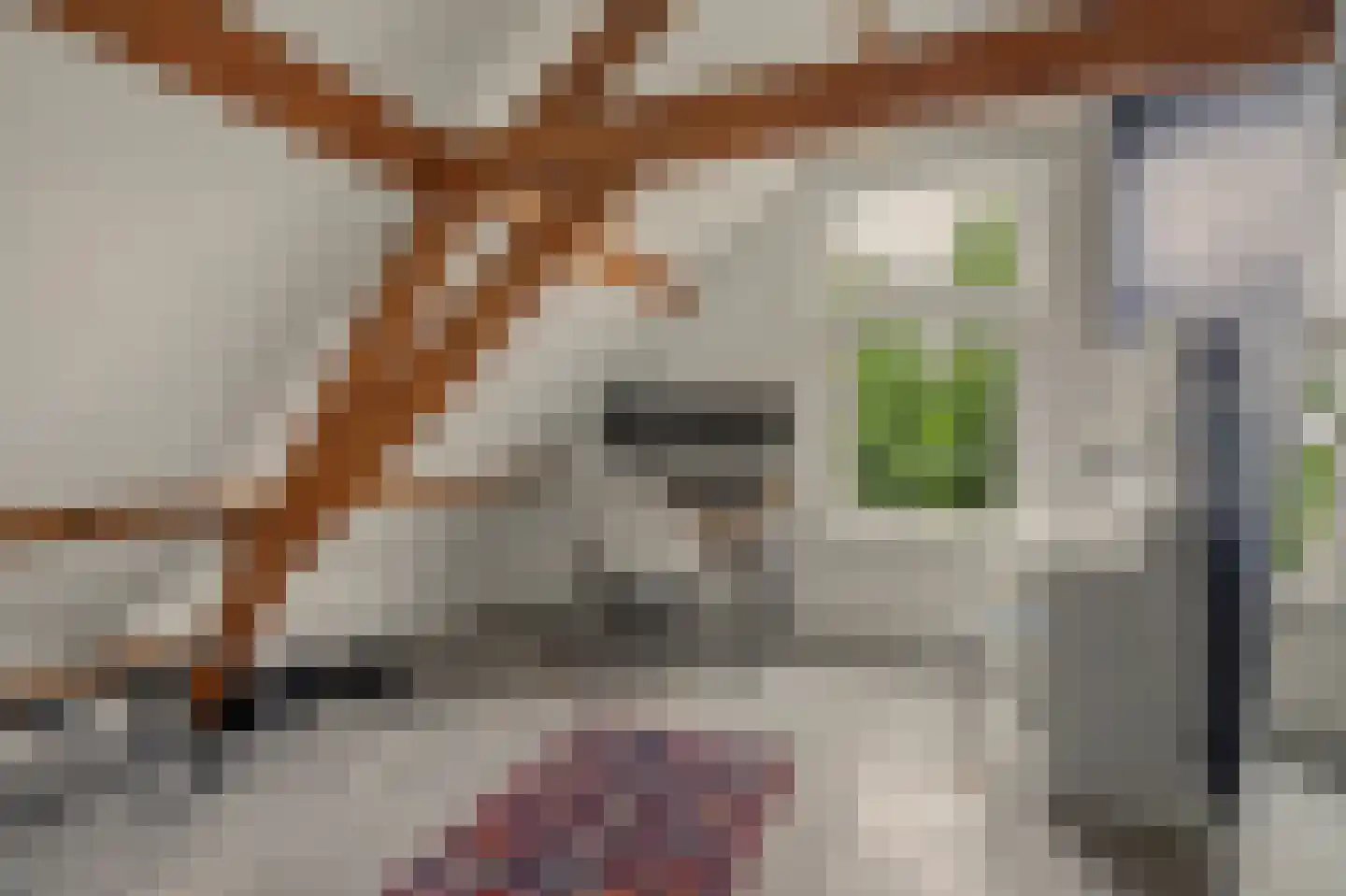 Besoyensestraat 15 Waalwijk thumbnail 26