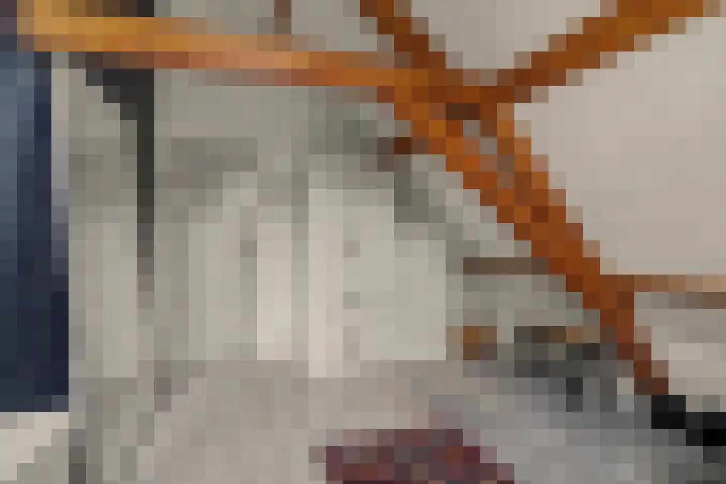 Besoyensestraat 15 Waalwijk thumbnail 27