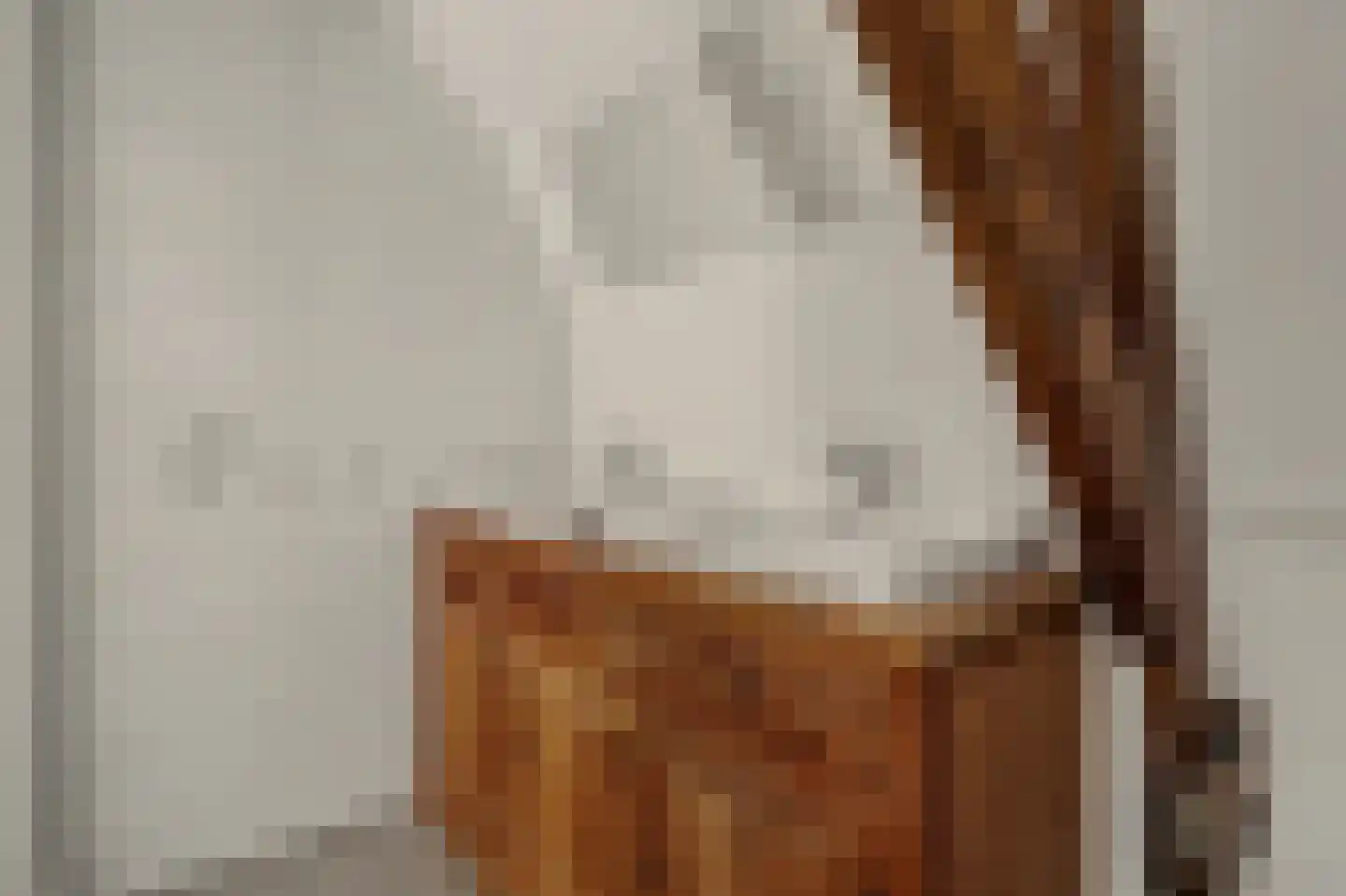 Besoyensestraat 15 Waalwijk thumbnail 28