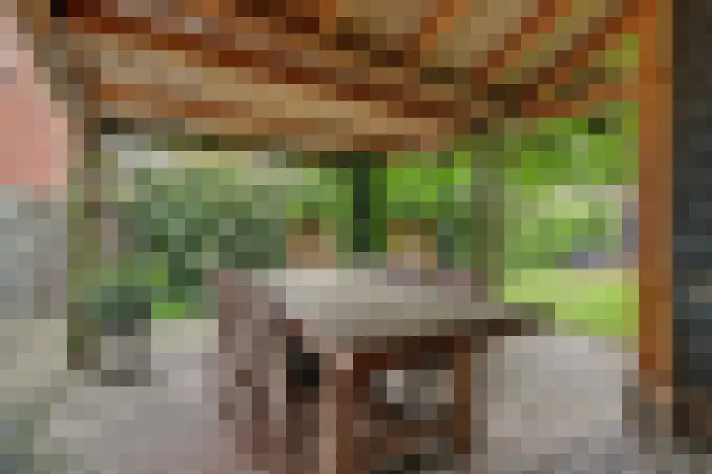 Besoyensestraat 15 Waalwijk thumbnail 34