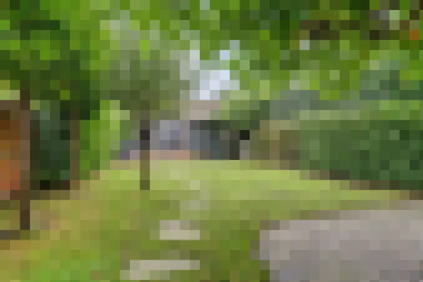 Besoyensestraat 15 Waalwijk thumbnail 6