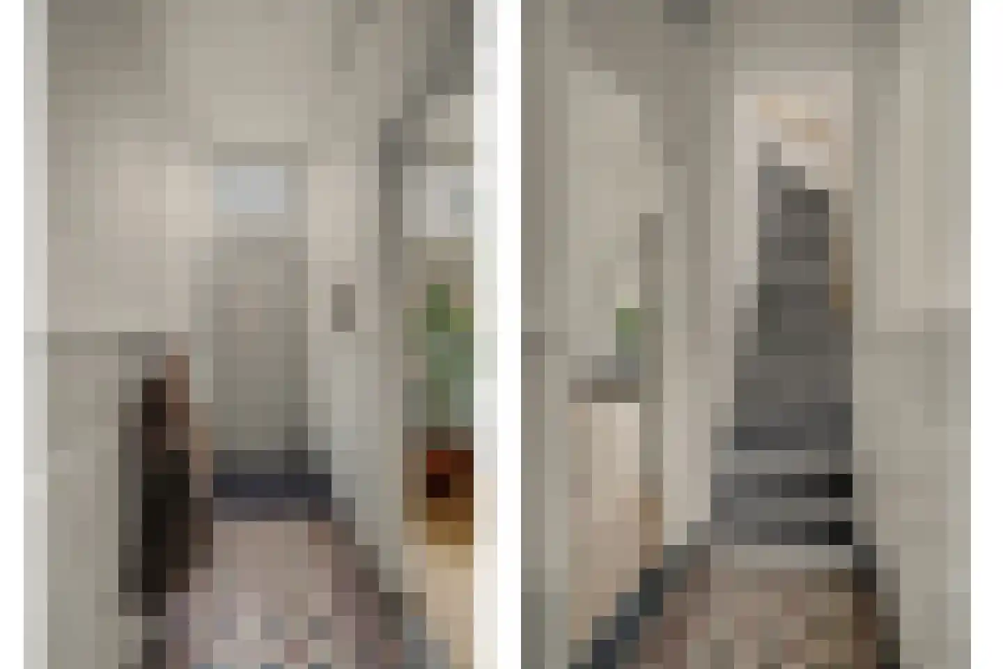 Besoyensestraat 15 Waalwijk thumbnail 7