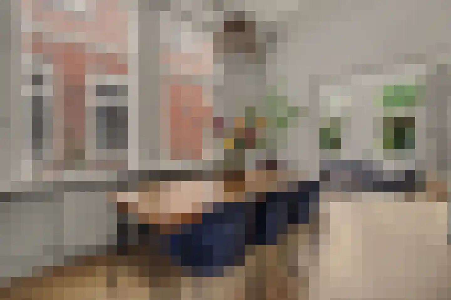 Besoyensestraat 15 Waalwijk thumbnail 8