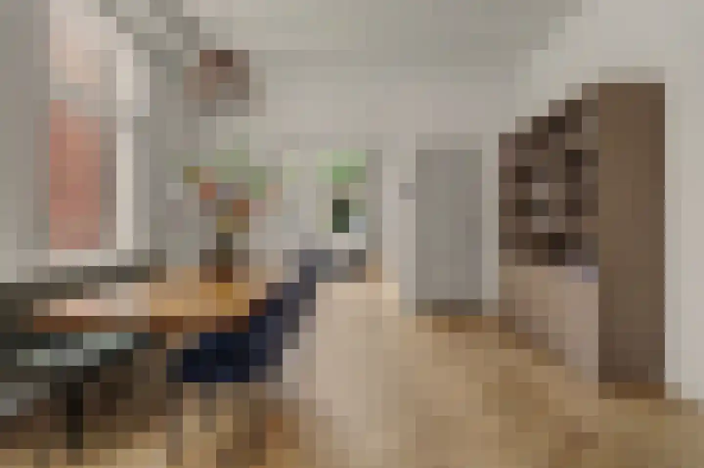 Besoyensestraat 15 Waalwijk thumbnail 9