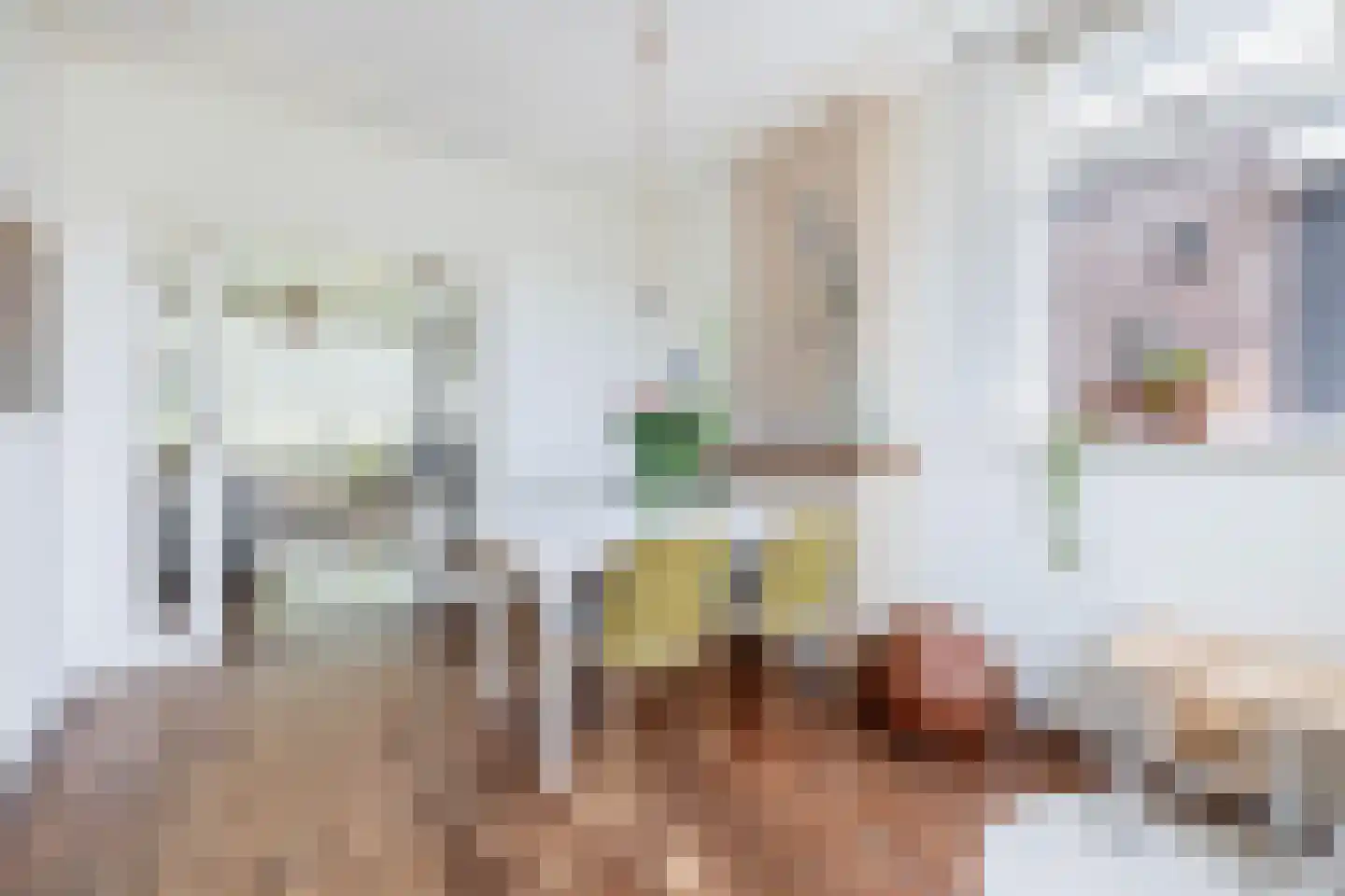 Besoyensestraat 18 Waalwijk thumbnail 13