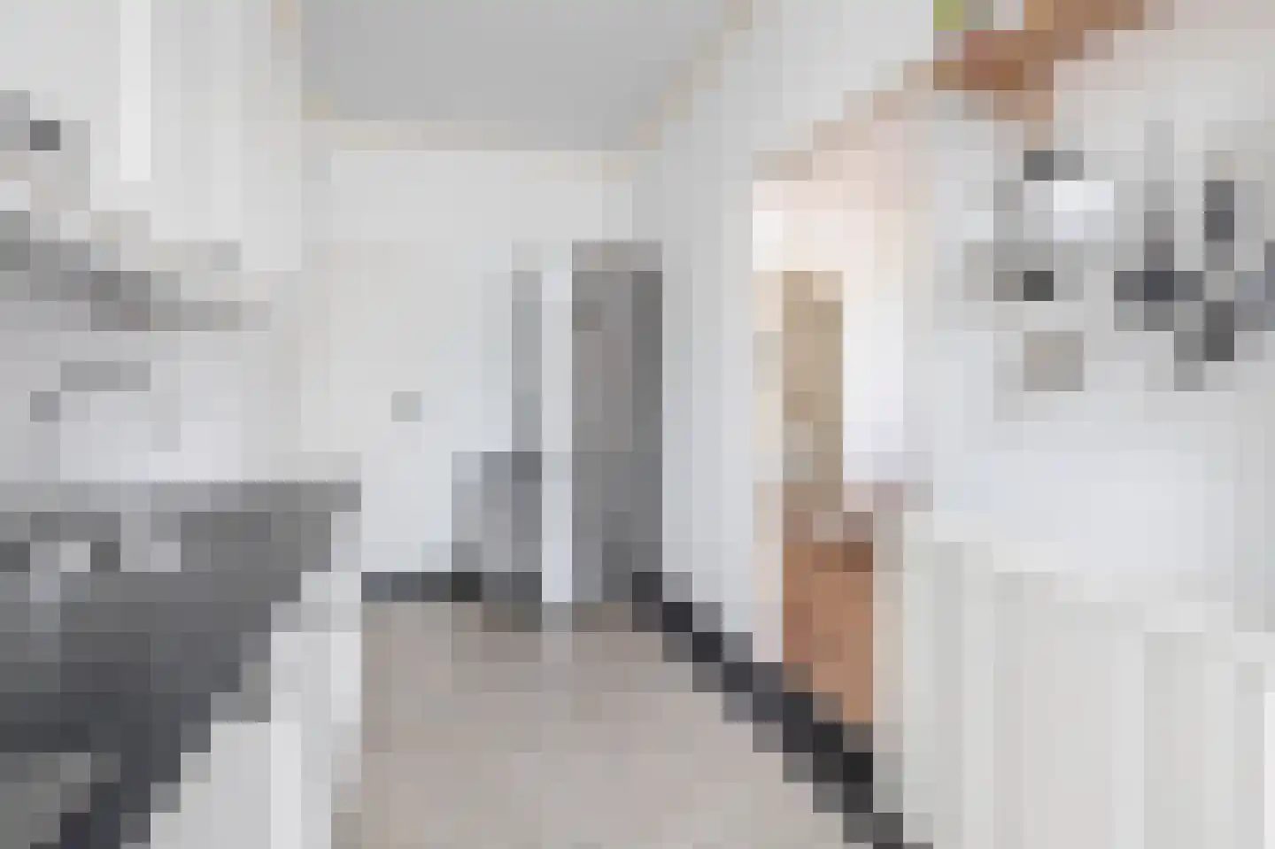 Besoyensestraat 18 Waalwijk thumbnail 18