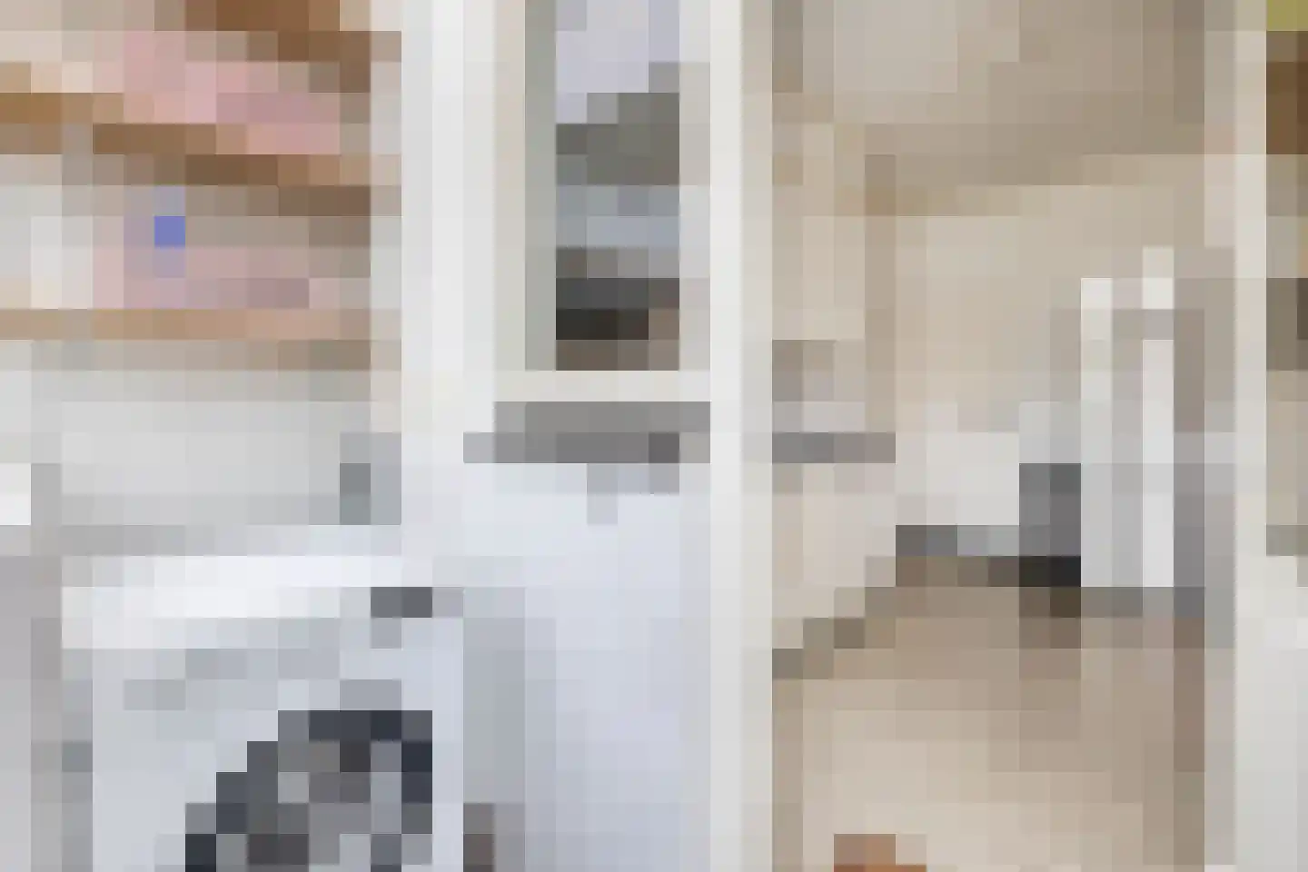 Besoyensestraat 18 Waalwijk thumbnail 19