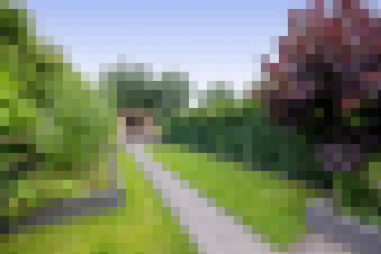 Besoyensestraat 18 Waalwijk thumbnail 24