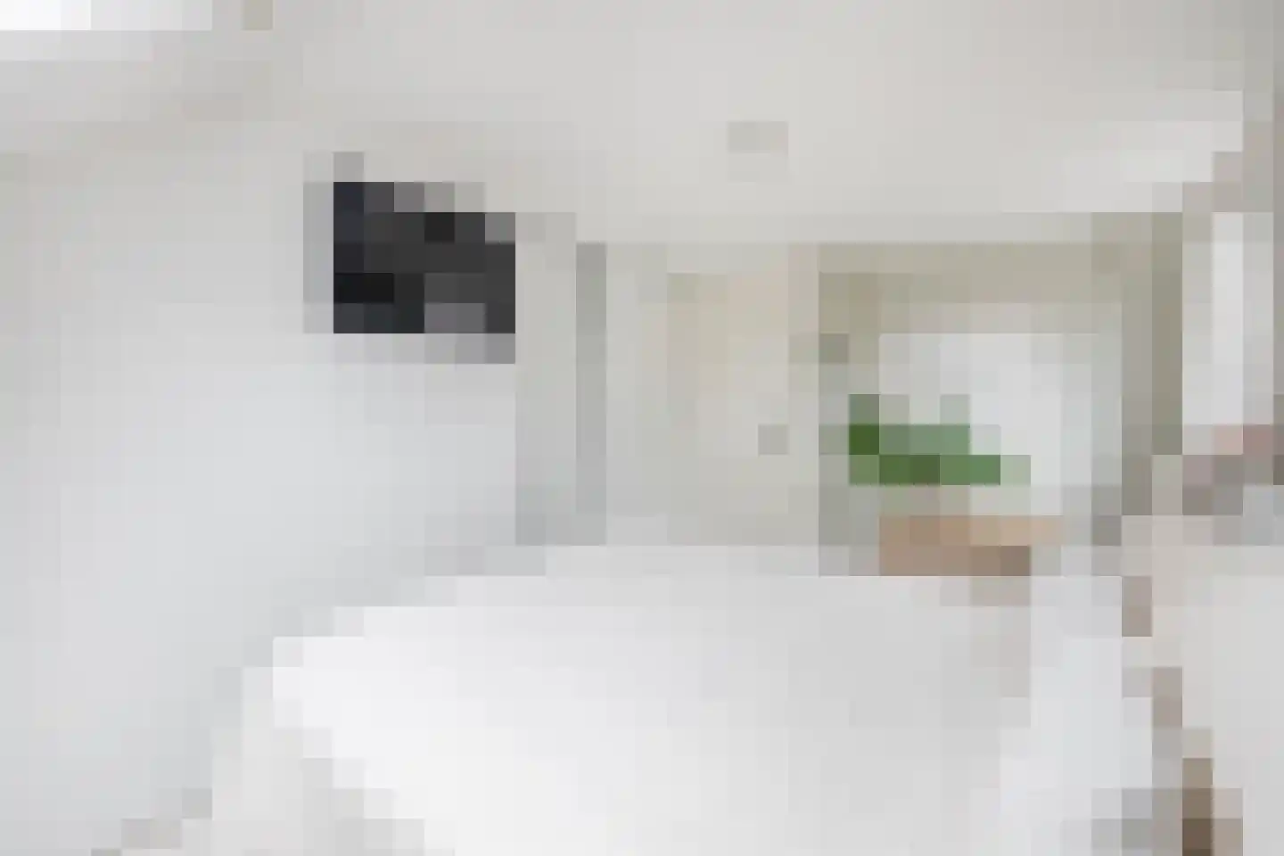 Besoyensestraat 18 Waalwijk thumbnail 28