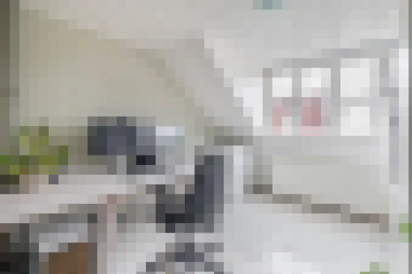 Besoyensestraat 18 Waalwijk thumbnail 31