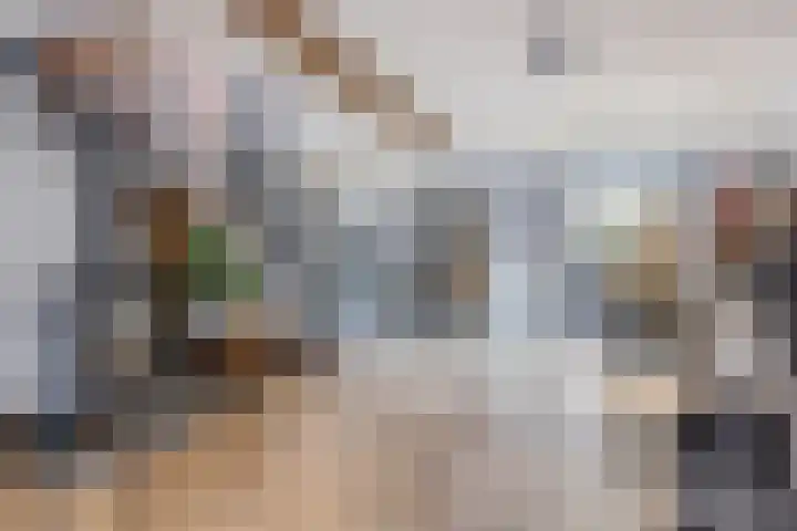 Besoyensestraat 2 Waalwijk thumbnail 10