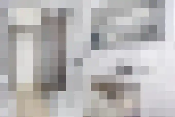 Besoyensestraat 2 Waalwijk thumbnail 17