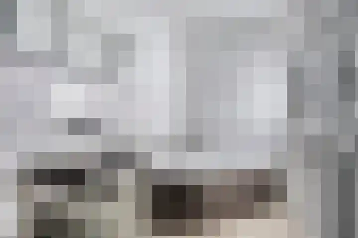 Besoyensestraat 2 Waalwijk thumbnail 18