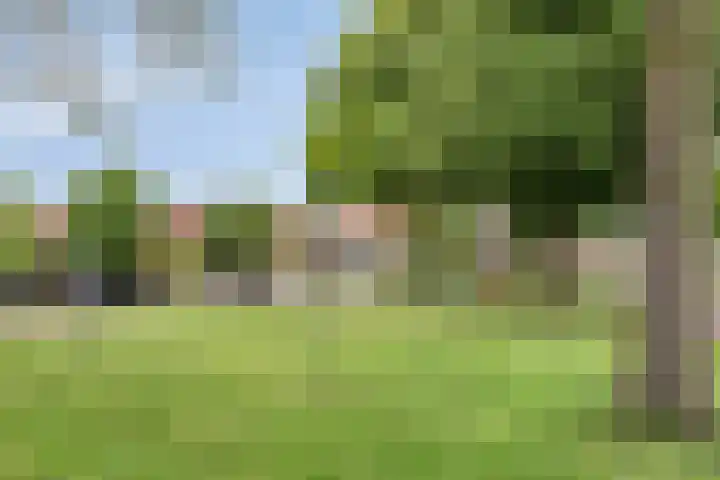 Besoyensestraat 2 Waalwijk thumbnail 31