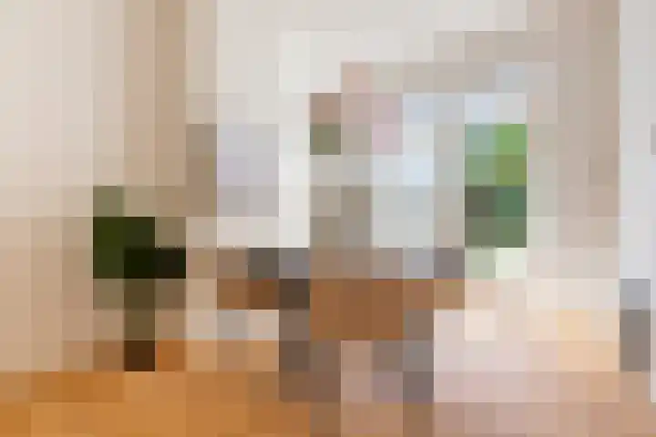Besoyensestraat 34 Waalwijk thumbnail 10