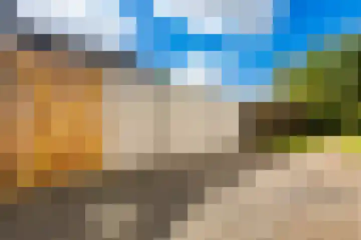 Besoyensestraat 34 Waalwijk thumbnail 23