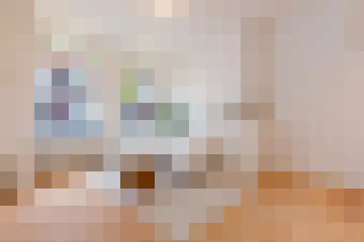 Besoyensestraat 34 Waalwijk thumbnail 8