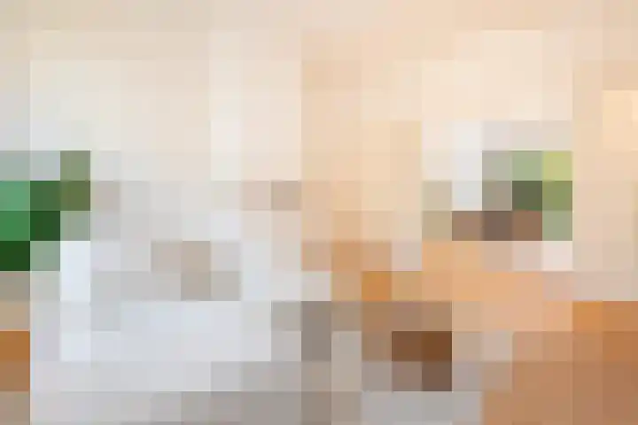 Besoyensestraat 34 Waalwijk thumbnail 9