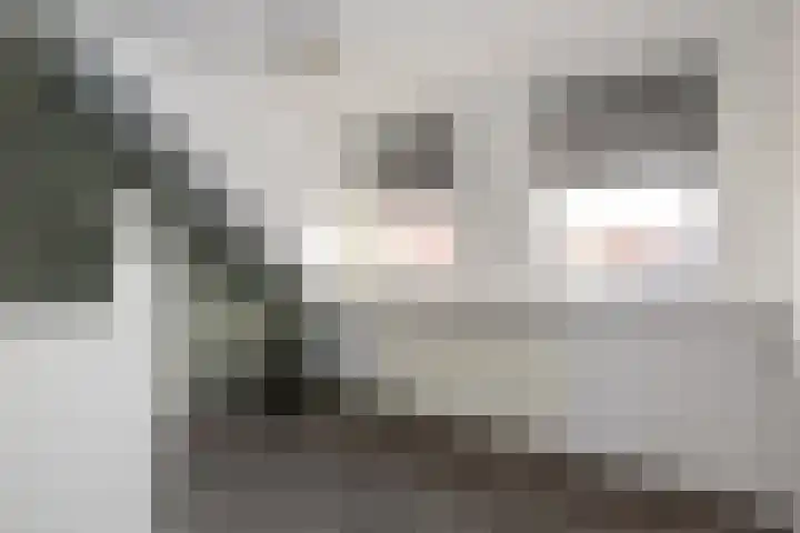 Besoyensestraat 40 Waalwijk thumbnail 12