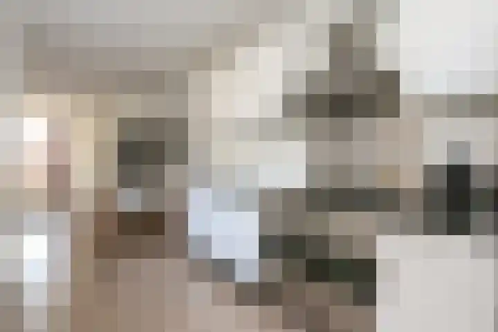 Besoyensestraat 40 Waalwijk thumbnail 5