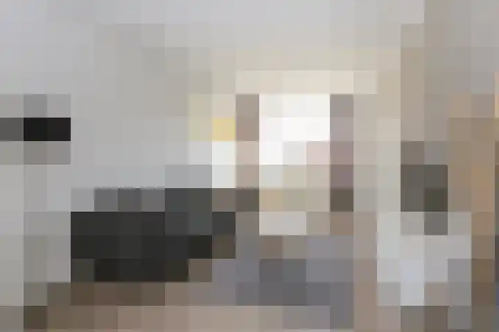 Besoyensestraat 40 Waalwijk thumbnail 7