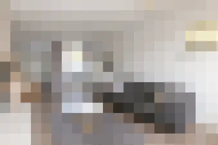Besoyensestraat 40 Waalwijk thumbnail 8