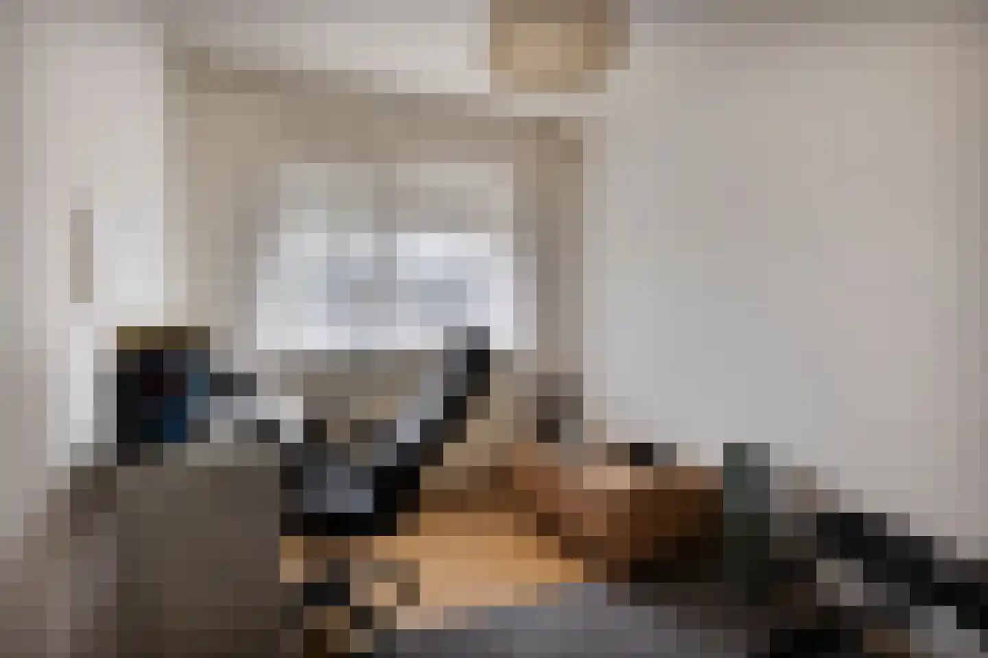 Besoyensestraat 44 Waalwijk thumbnail 13