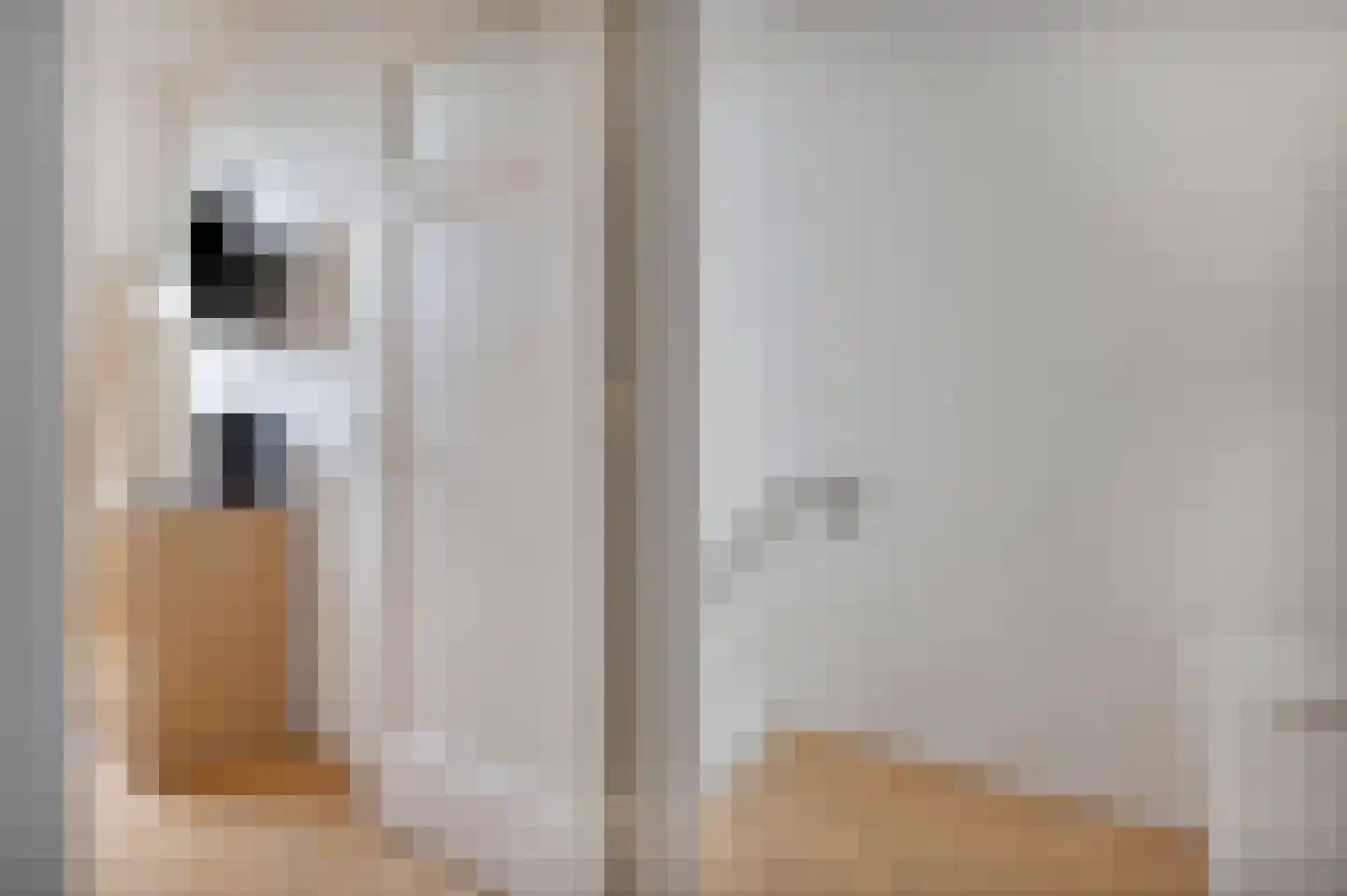 Besoyensestraat 44 Waalwijk thumbnail 9