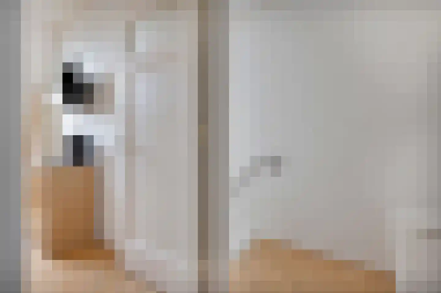 Besoyensestraat 44 Waalwijk thumbnail 9